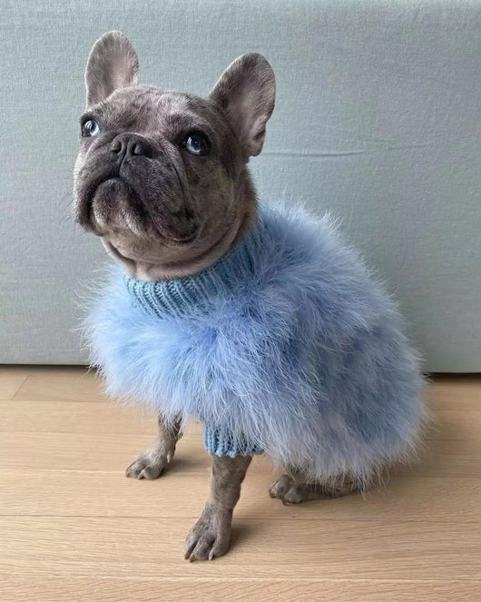 Suéter de Otoño e Invierno para Mascotas Jarre Aero Bull VIP - Image 8