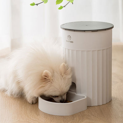 Comedero Automático Inteligente para Gatos - Image 11