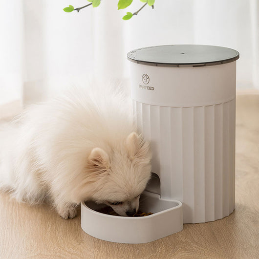 Comedero Automático Inteligente para Gatos - Image 11