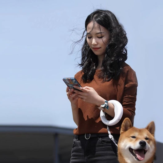 Correa Retráctil Automática para Perros con Diseño Adorable - Image 2
