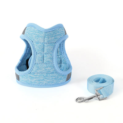 Correa de Paseo para Perros de Moda - Image 14