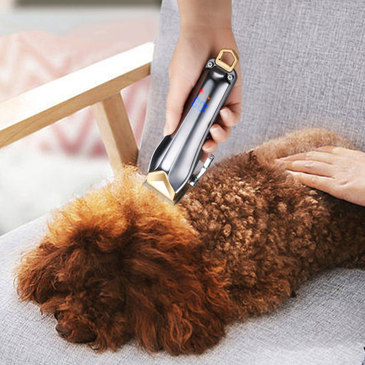 Cortapelo Eléctrico Profesional para Mascotas - Image 11