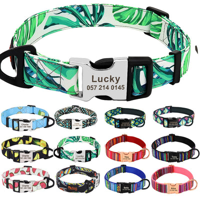 Collar de Nylon para Perro con Placa Identificadora Personalizada - Image 7