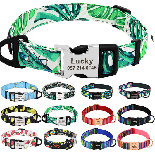 Collar de Nylon para Perro con Placa Identificadora Personalizada - Image 7