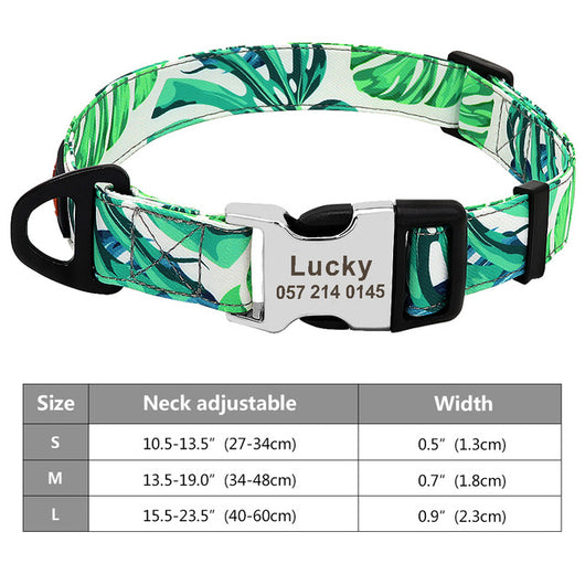 Collar de Nylon para Perro con Placa Identificadora Personalizada - Image 9