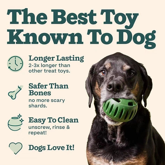 Green silicone dog treat dispensing toy ball next to a yellow silicone mold with three filled compartments. - Image 7