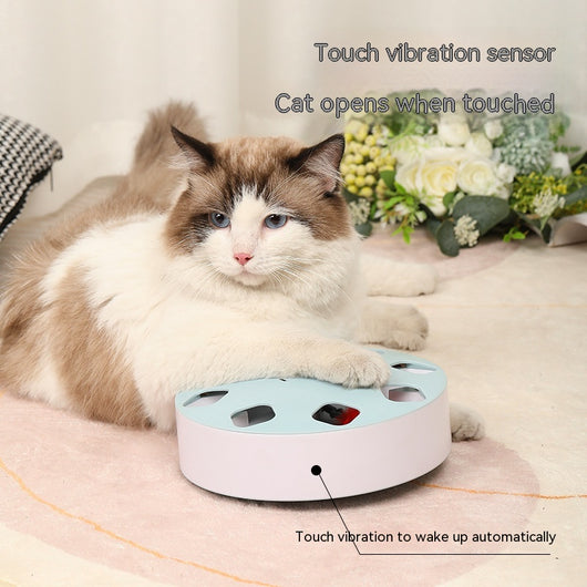 Light blue circular cat teaser toy with multiple cutouts and a red feather extending from one opening. - Image 12