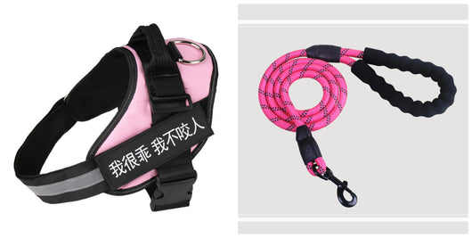 Arnés de Paseo Simple para Mascotas con Correa Ajustable - Image 14