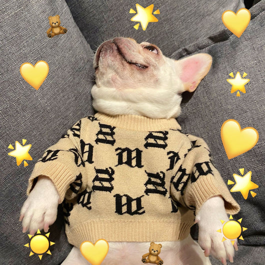Suéter para Perro Schnauzer Teddy Aero Bull - Diseño Viral de Celebridad Internet - Image 11