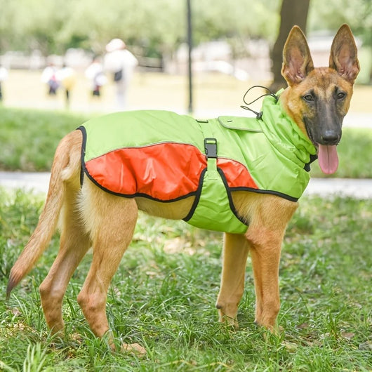 Abrigo Impermeable Ajustable para Perros - Ropa Deportiva Exterior - Image 14