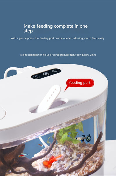 Acuario Ecológico de Escritorio con Recirculación Automática - Image 21