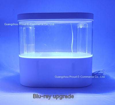 Acuario Ecológico de Escritorio con Recirculación Automática - Image 39
