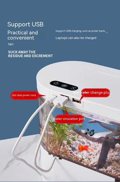 Acuario Ecológico de Escritorio con Recirculación Automática - Image 45