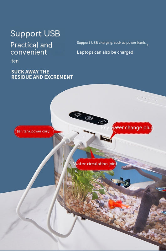 Acuario Ecológico de Escritorio con Recirculación Automática - Image 45