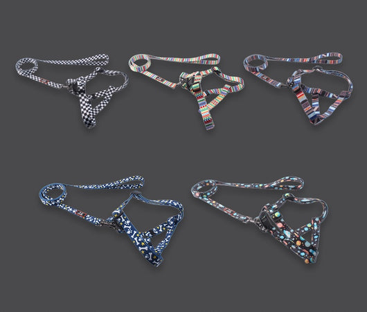Collares para Perros Pequeños y Medianos - Image 10
