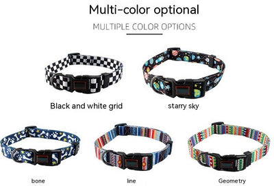 Collares para Perros Pequeños y Medianos - Image 11