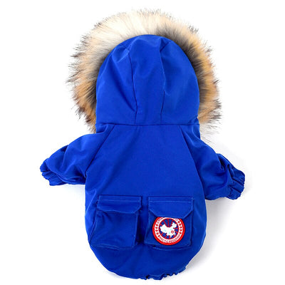 Ropa y Gorro de Lana para Perros - Abrigo de Algodón - Image 2