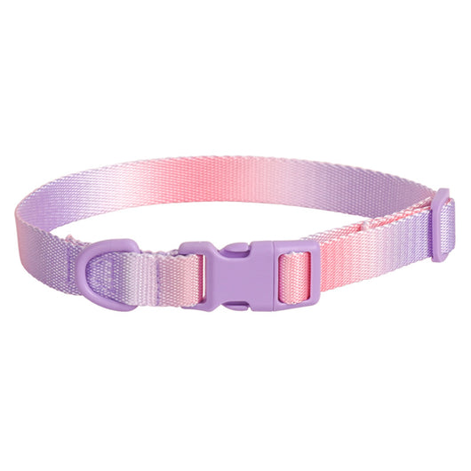 Collar Antiherrumbre Degradado para Perros - Talla Grande - Image 9