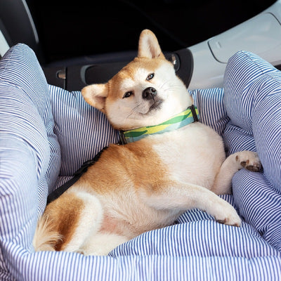 Asiento de Viaje Multifuncional para Mascotas - Transportín Seguro para Auto - Image 8