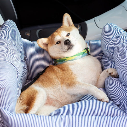 Asiento de Viaje Multifuncional para Mascotas - Transportín Seguro para Auto - Image 18