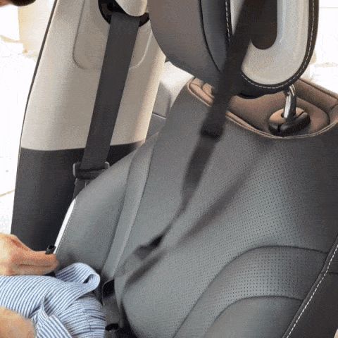 Asiento de Viaje Multifuncional para Mascotas - Transportín Seguro para Auto - Image 21