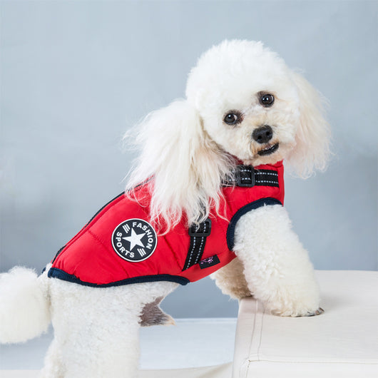Ropa Impermeable y Térmica para Mascotas - Image 24