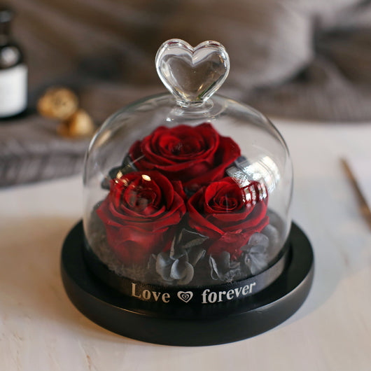 Caja de Regalo Rosa Eterna con Tapa de Cristal - Flor Inmortal para Día de Amor - Image 13