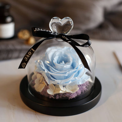 Caja de Regalo Rosa Eterna con Tapa de Cristal - Flor Inmortal para Día de Amor - Image 14