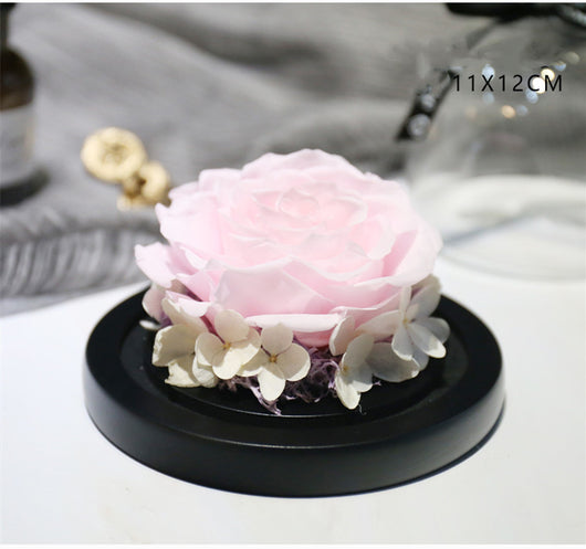 Caja de Regalo Rosa Eterna con Tapa de Cristal - Flor Inmortal para Día de Amor - Image 17