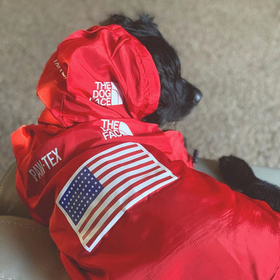 Impermeable para Perros Grandes - Resistente al Viento y la Lluvia - Image 11