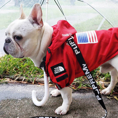 Impermeable para Perros Grandes - Resistente al Viento y la Lluvia - Image 14