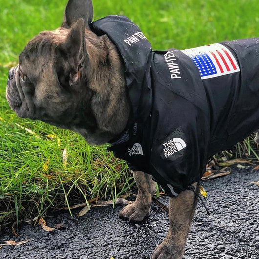 Impermeable para Perros Grandes - Resistente al Viento y la Lluvia - Image 15