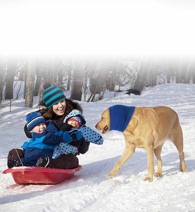 Babero Protector de Confort para Perros - Image 12