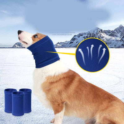 Babero Protector de Confort para Perros - Image 13