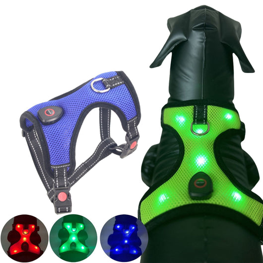 Arnés Luminoso para Mascotas con Carga USB - Image 11
