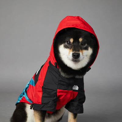 Chaqueta Impermeable y Cortavientos para Perros - Image 10