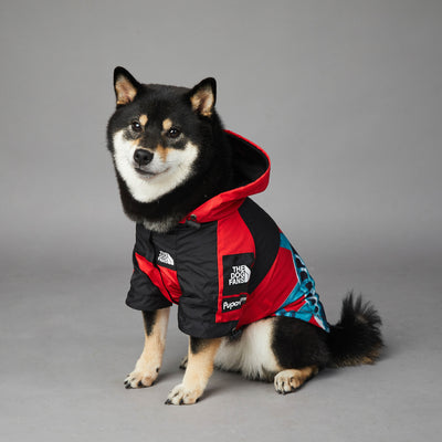 Chaqueta Impermeable y Cortavientos para Perros - Image 11