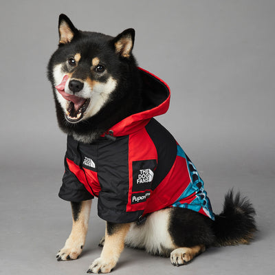 Chaqueta Impermeable y Cortavientos para Perros - Image 13