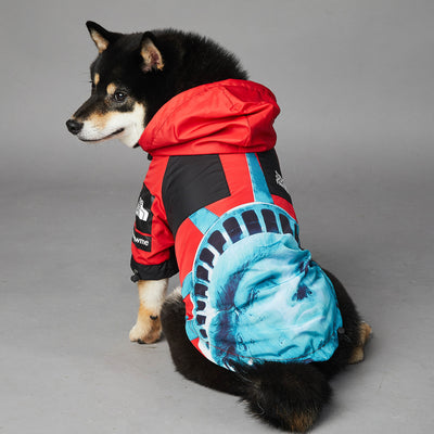 Chaqueta Impermeable y Cortavientos para Perros - Image 14