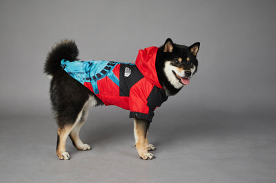 Chaqueta Impermeable y Cortavientos para Perros - Image 15