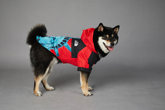 Chaqueta Impermeable y Cortavientos para Perros - Image 15