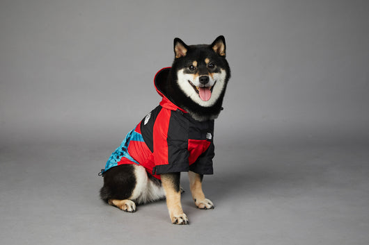 Chaqueta Impermeable y Cortavientos para Perros - Image 16
