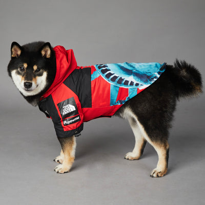 Chaqueta Impermeable y Cortavientos para Perros - Image 18