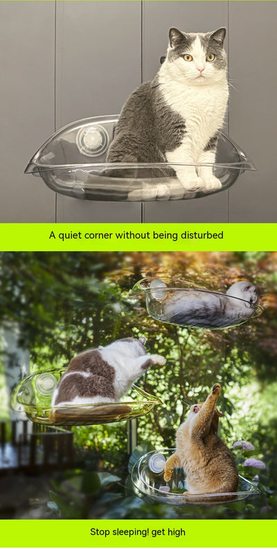 Hamaca para Gatos con Ventosas - Reposo Elevado para Ventanas - Image 26