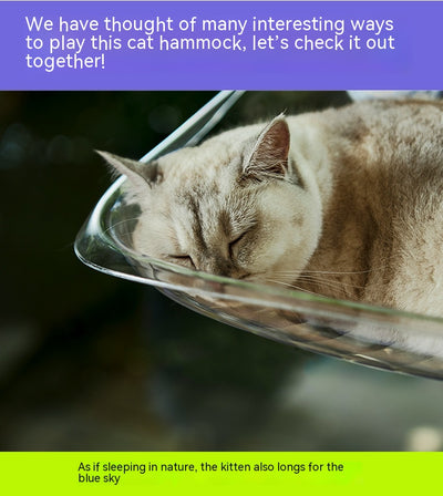 Hamaca para Gatos con Ventosas - Reposo Elevado para Ventanas - Image 28