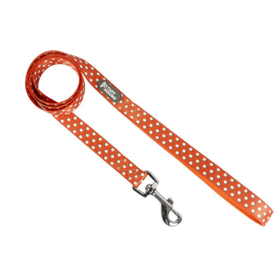 Arnés de Pecho con Cuerda de Tracción para Perros - Image 18