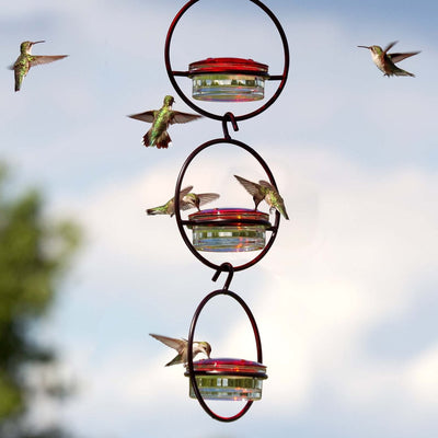 Comedero Colgante para Colibríes de Metal Redondo - Image 8