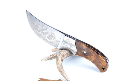 Cuchillo de Supervivencia American Gaiter - Hoja Recta para Aventuras - Image 8
