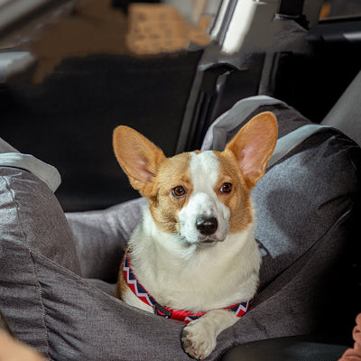 Transportín de Auto para Perros con Cojín Cómodo - Image 10