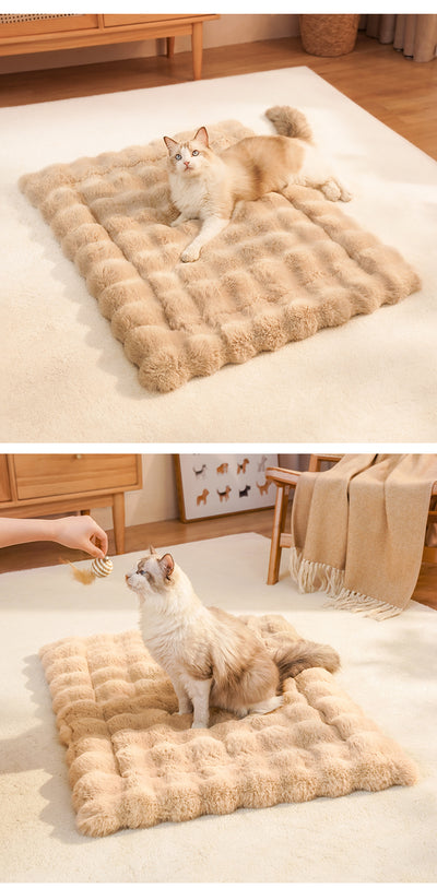 Cama Térmica Acogedora para Gatos - Colchoneta Suave y Abrigada - Image 11
